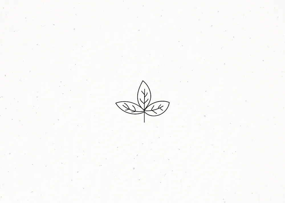 Minimalism drawings