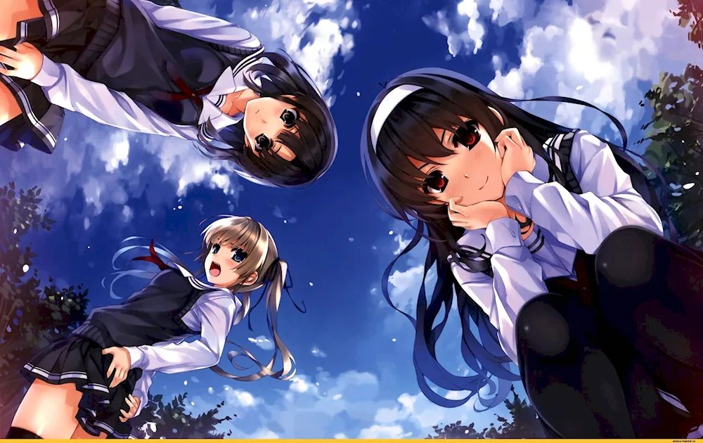 Misaki kurehito