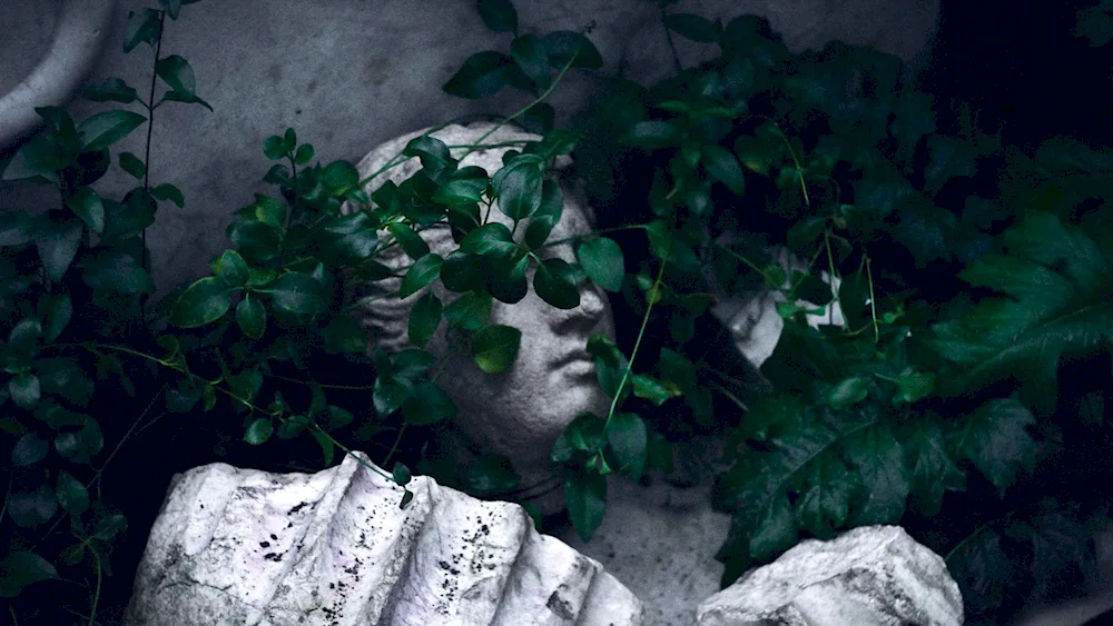 Mystical plants