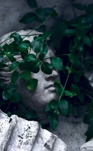 Mystical plants