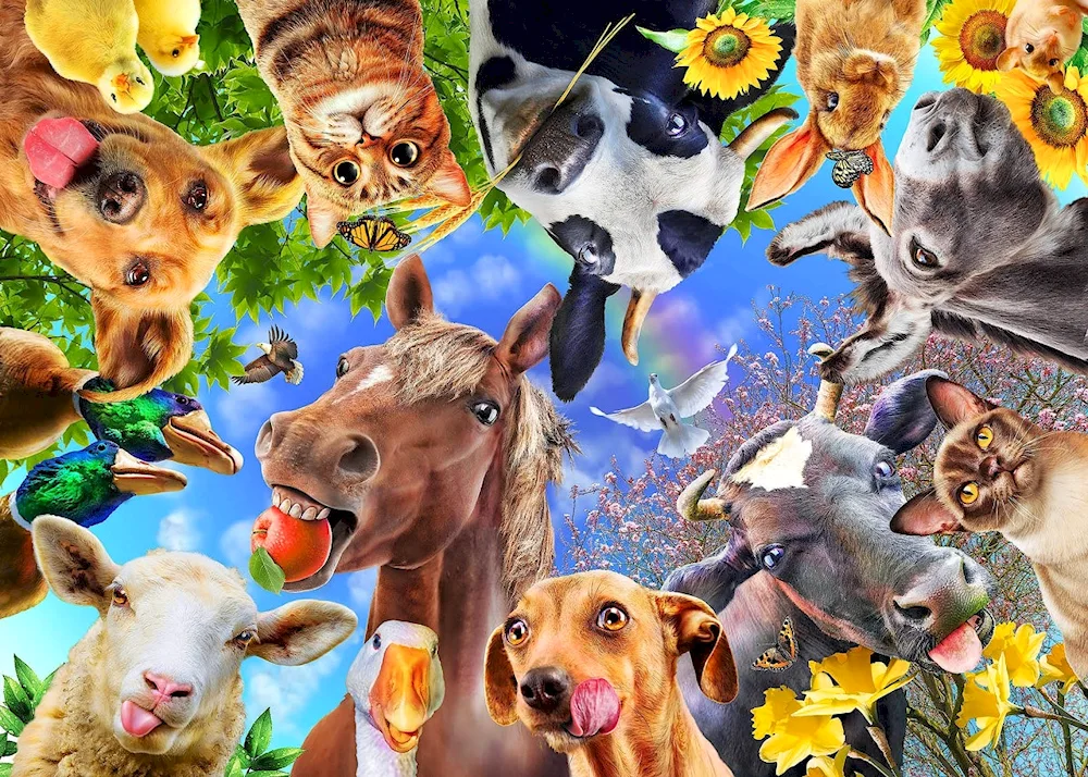 Many animals