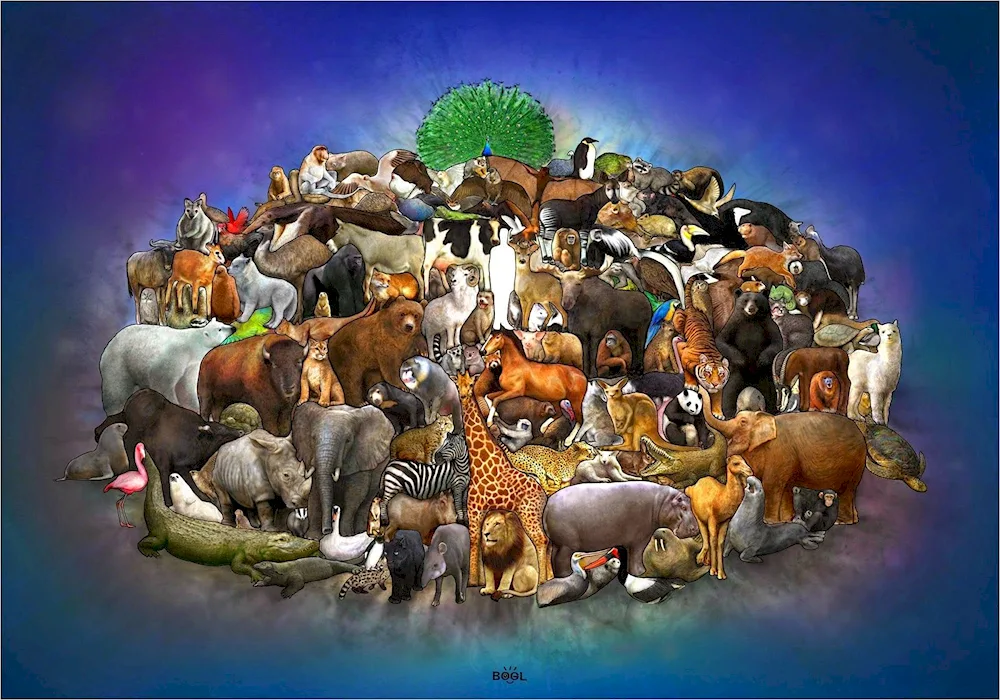 Many animals