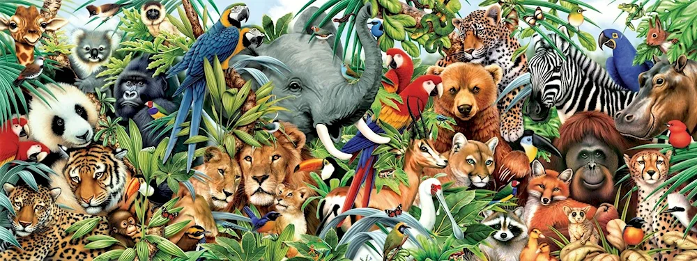 Many animals