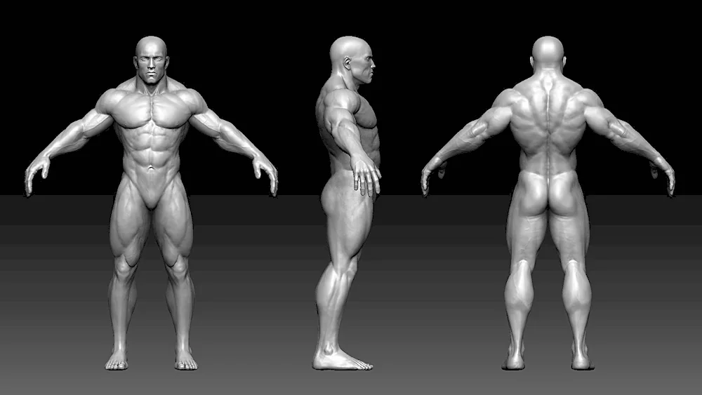Man back reference