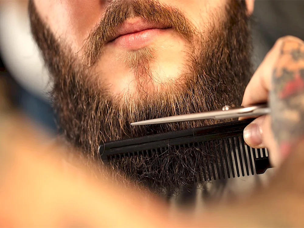 Johnny Quid beard