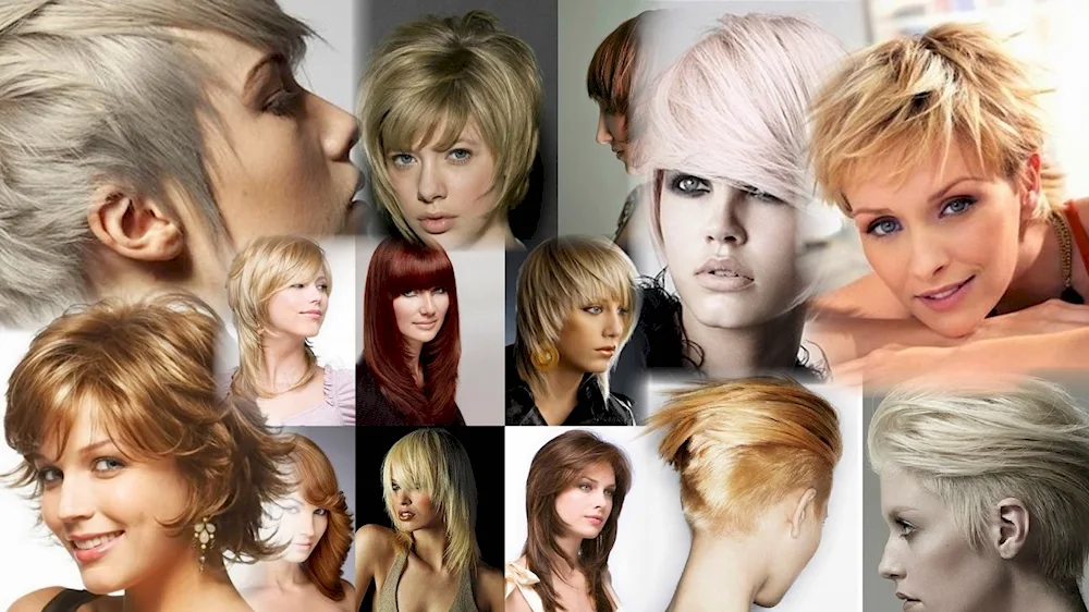 Bob haircut. bob