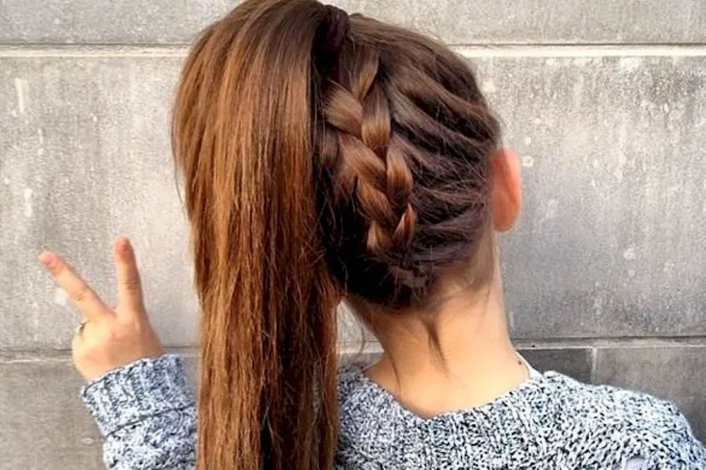 Braided hairstyles with loose hair