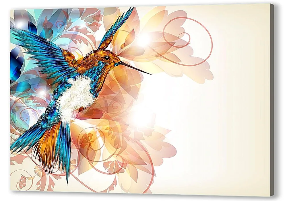 Colibri