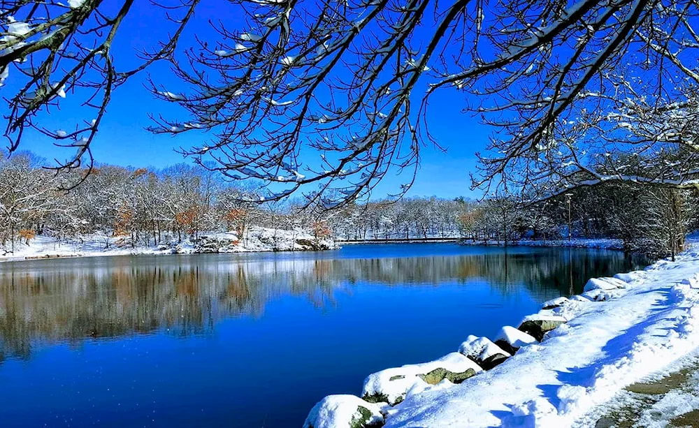 Winter landscape