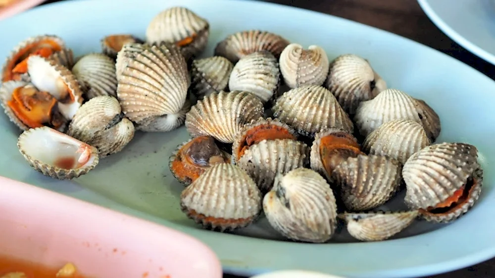 Scallops with arugula
