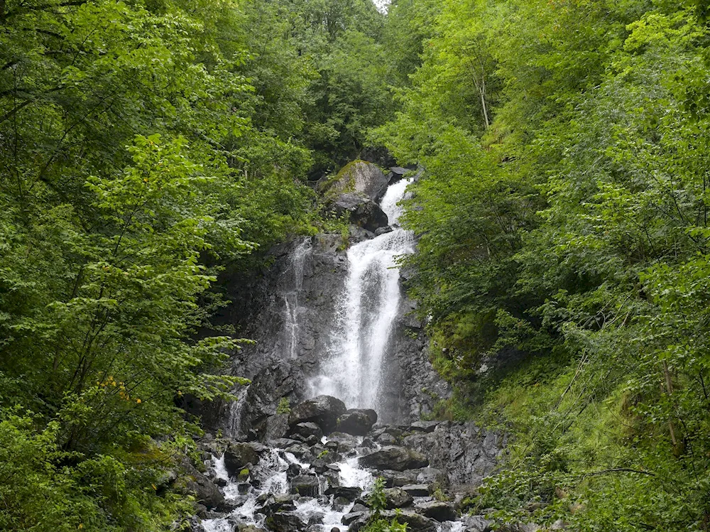 Milk Falls Abkhazia