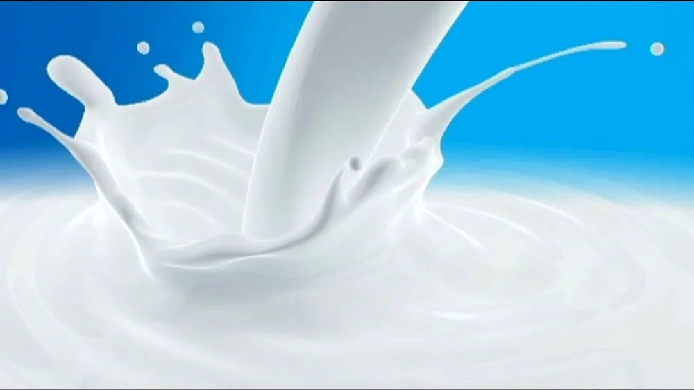 Dairy background