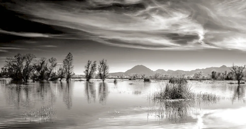 Monochrome landscape