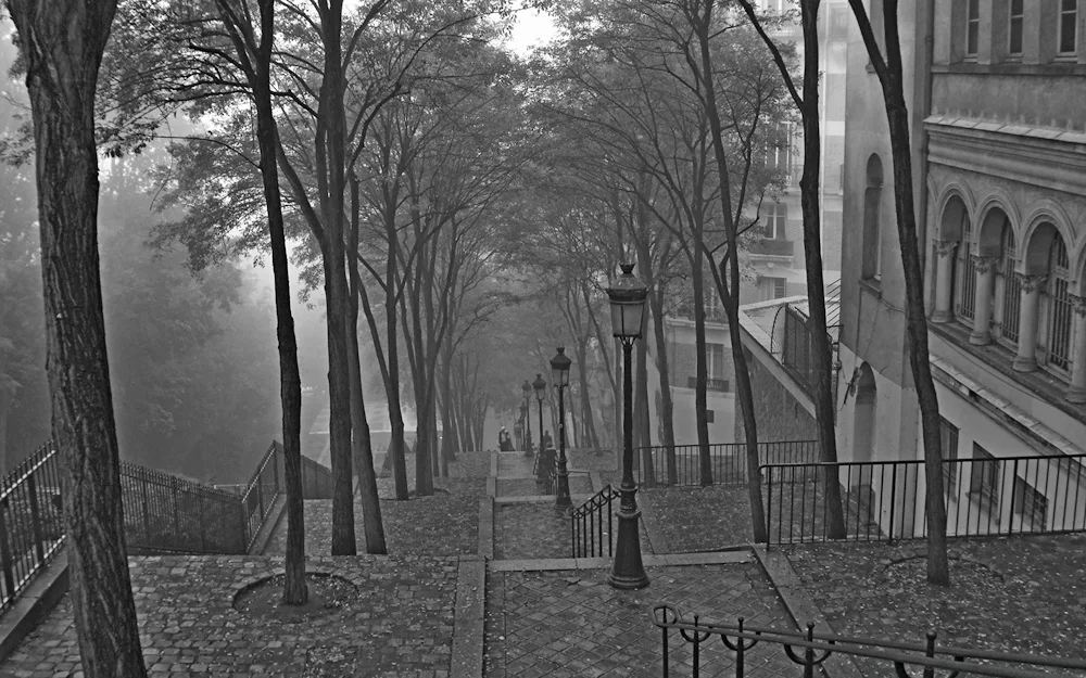 Monochrome Landscape