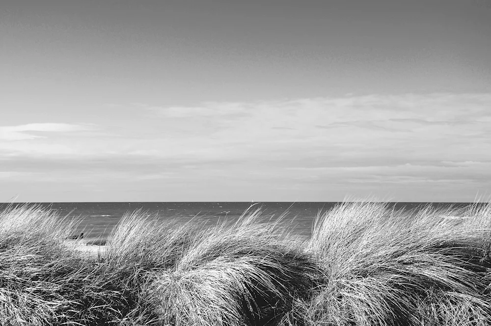 More black and white