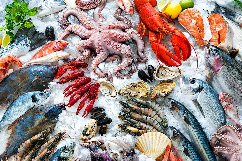 Meat and fish products