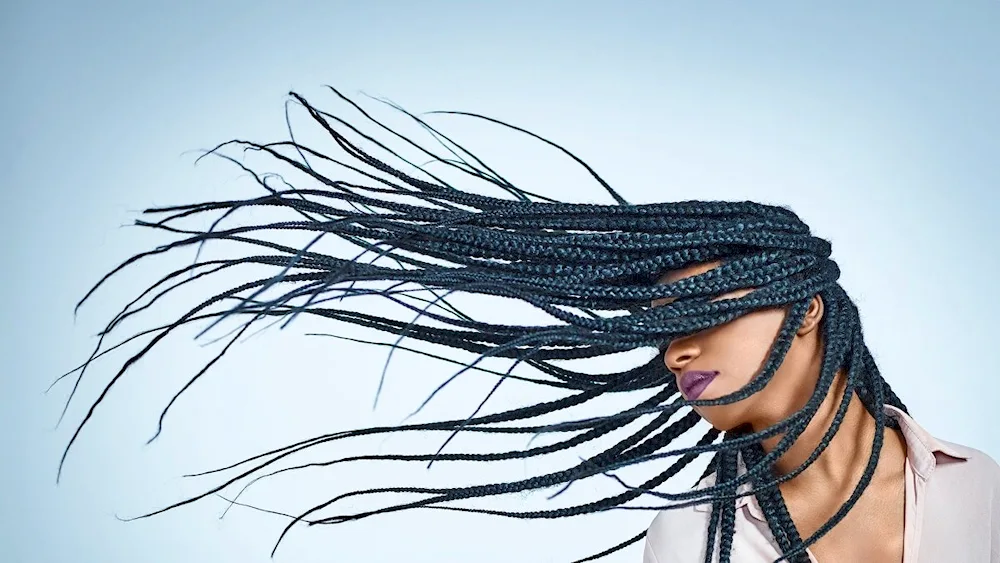 Morgenstern afro braids 2022
