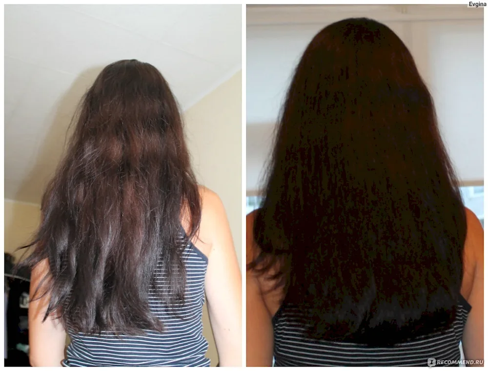Frosted Chestnut Hair Colour