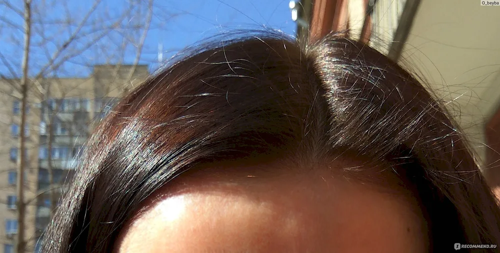 Frosty Cappuccino 513