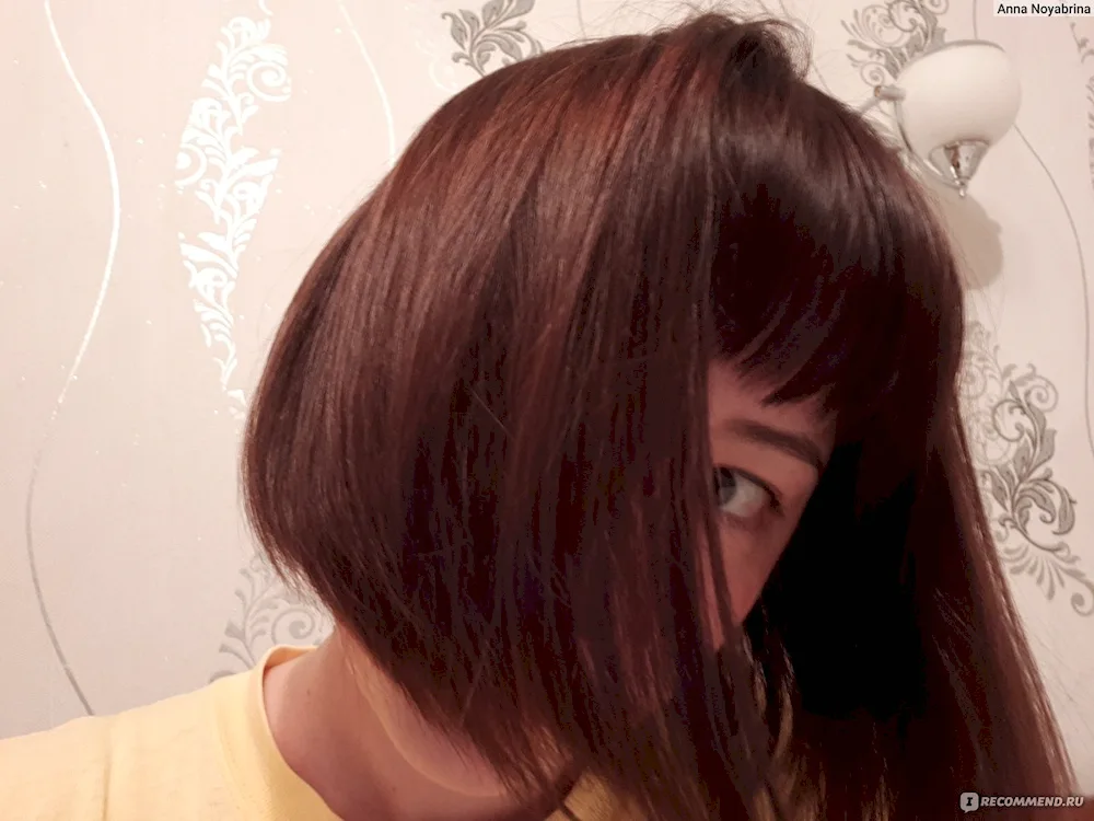 Frosty Chestnut Estelle Dye