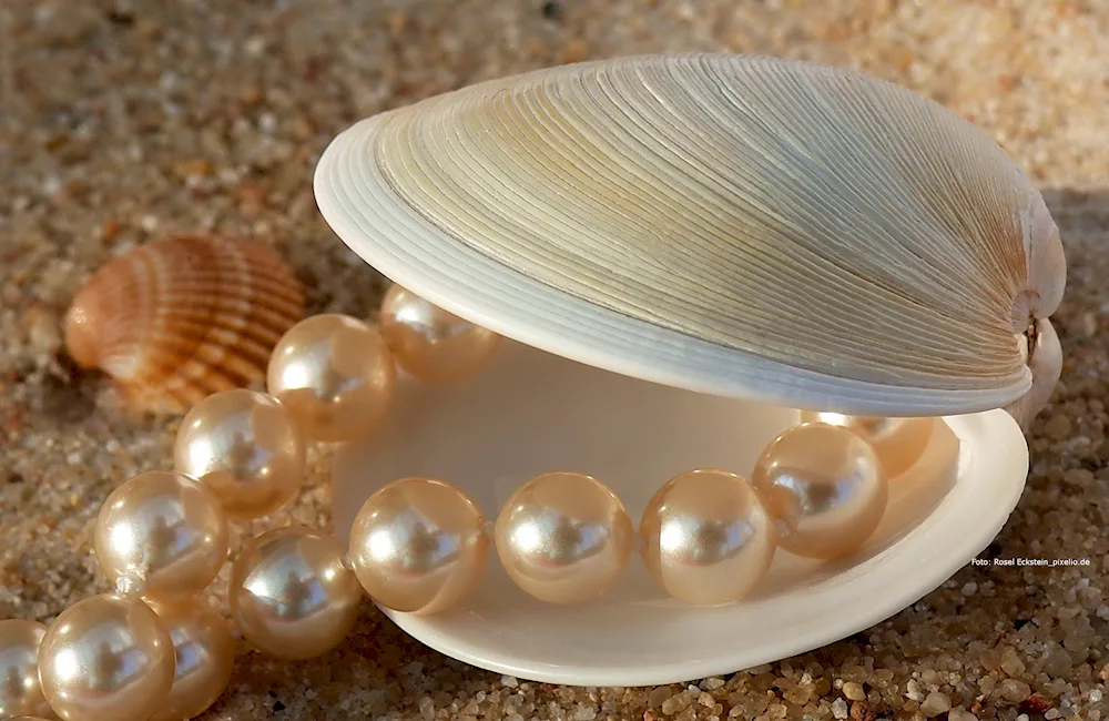 Pearls