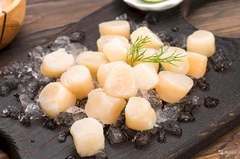 Scallops Scallops