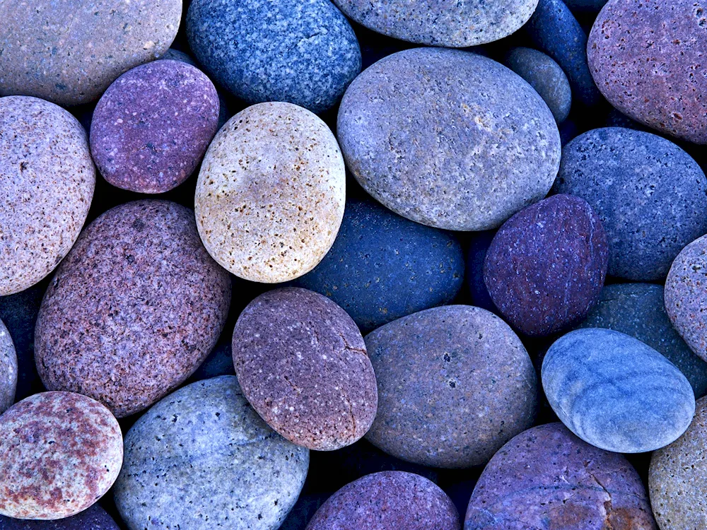 Sea stones