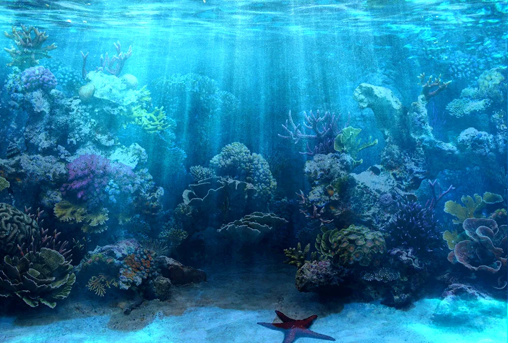 The underwater world