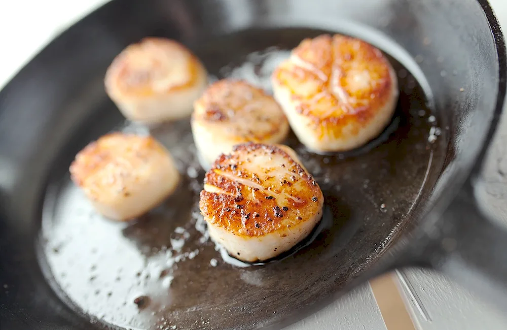 Scallops scallops