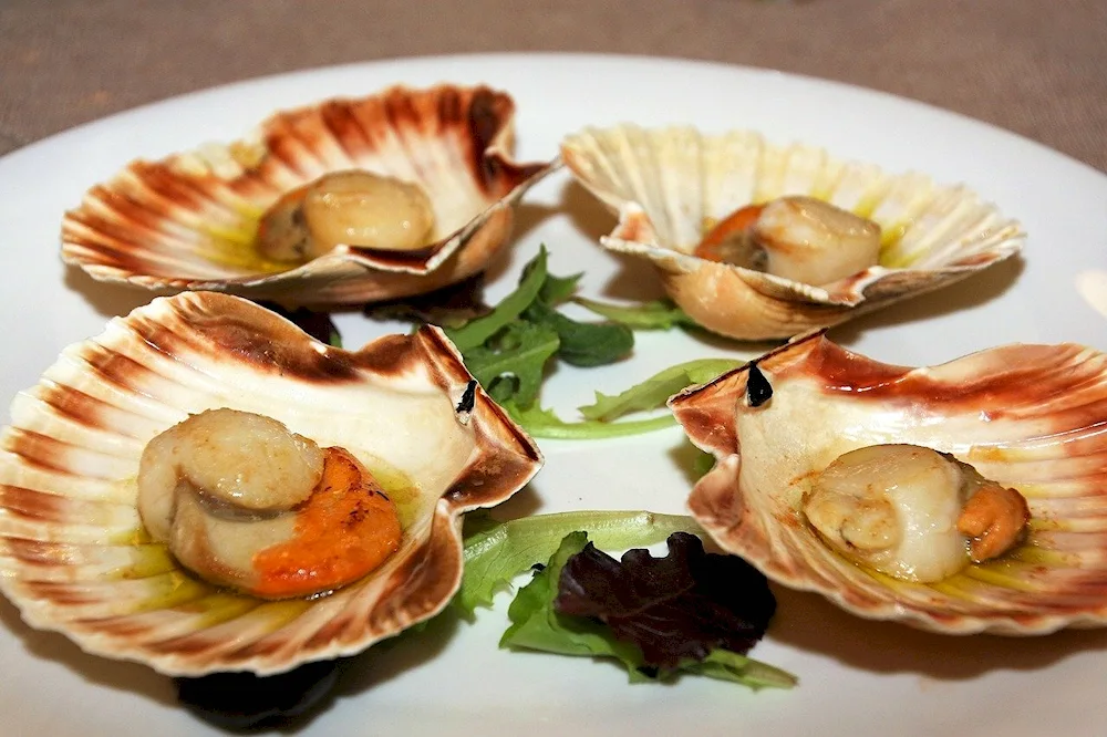 Baked scallops