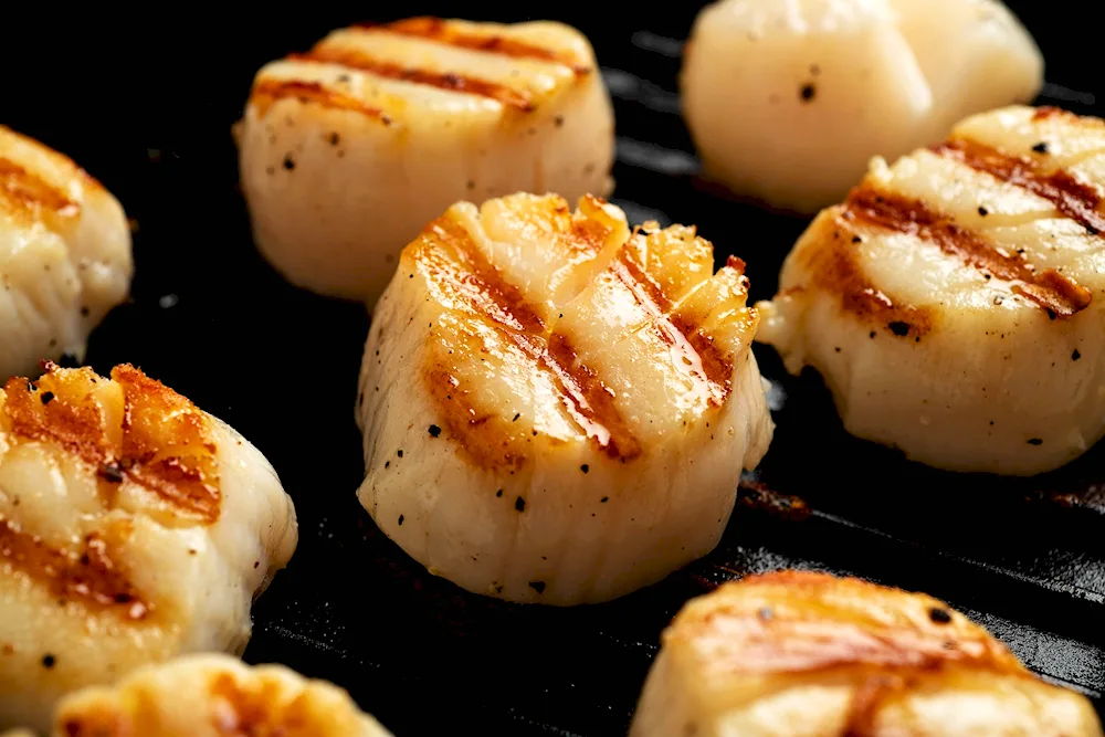 Scallop grilled scallop Scallops