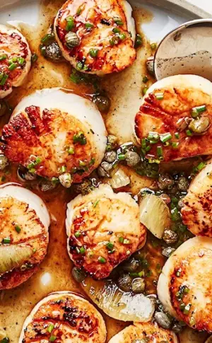 Scallops