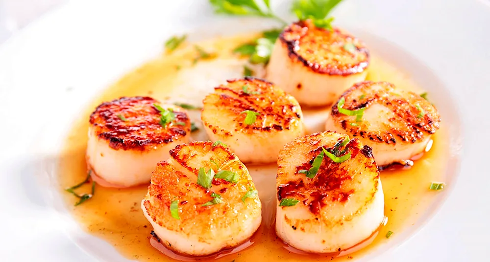 Scallops scallops with truffle puree