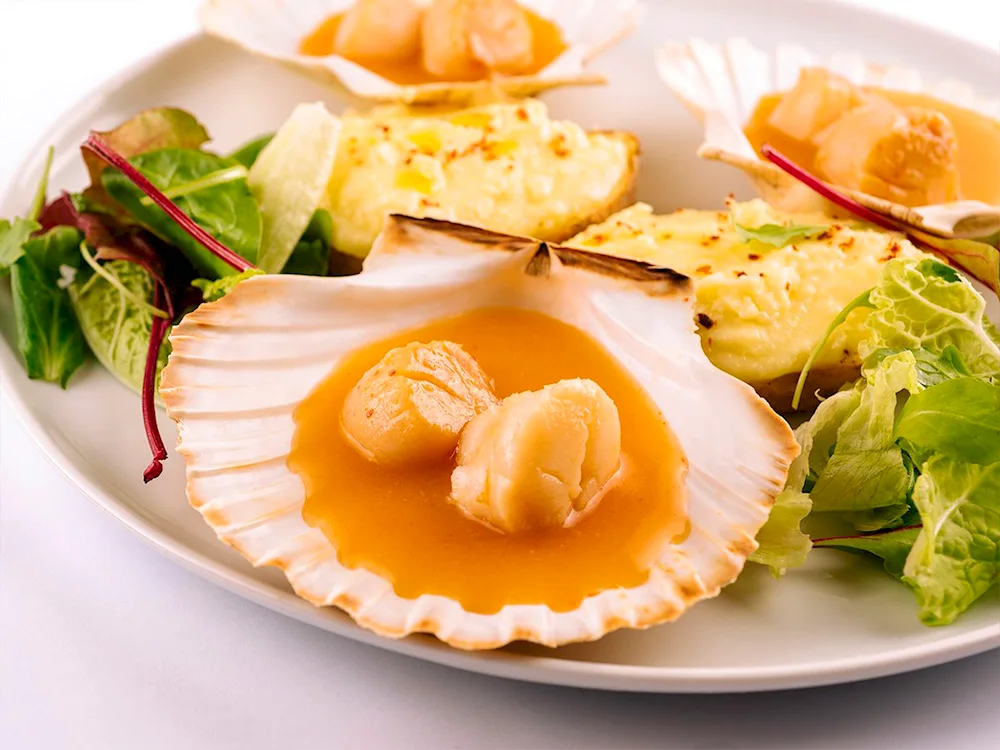 Scallops scallop scallops Scallops
