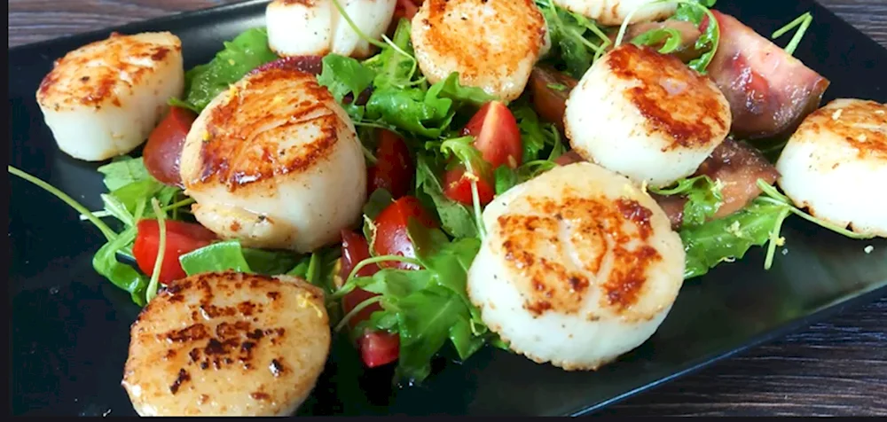 Scallop shells