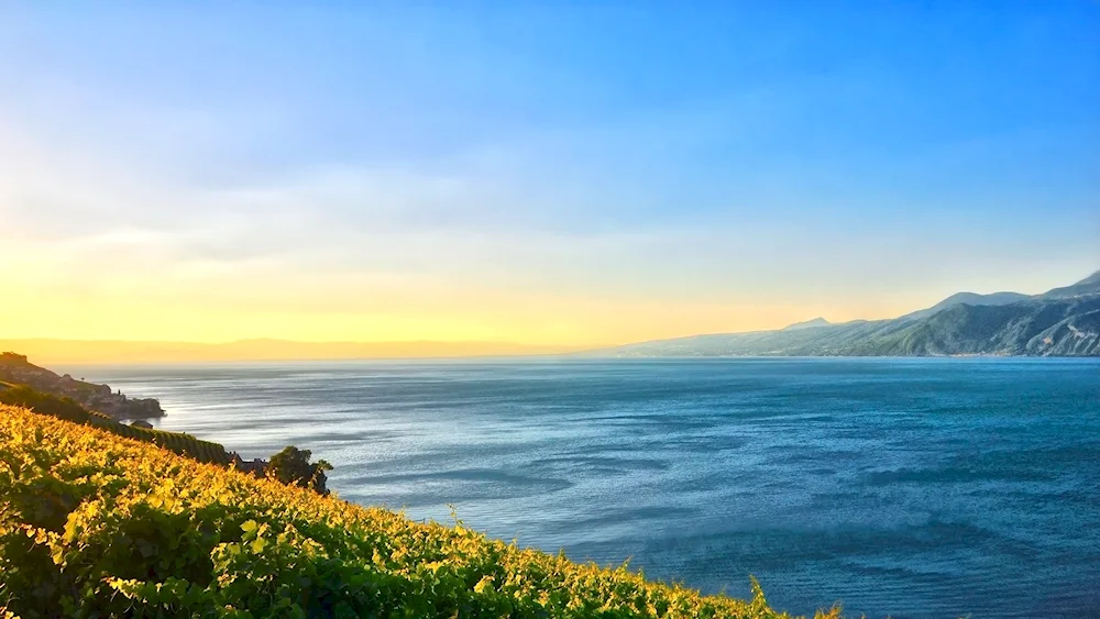 Sea landscape Koktebel