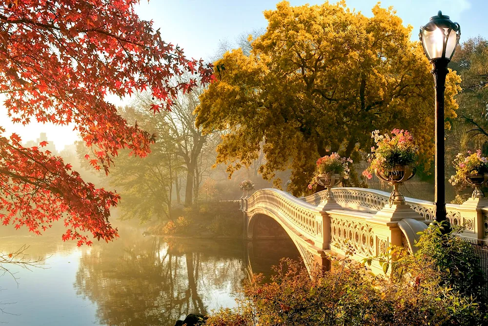 New York Park Bridge. York Central Park