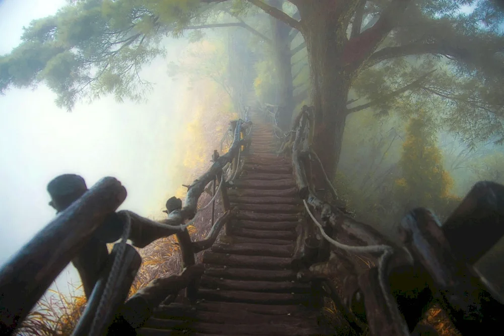 Bridge in the fog