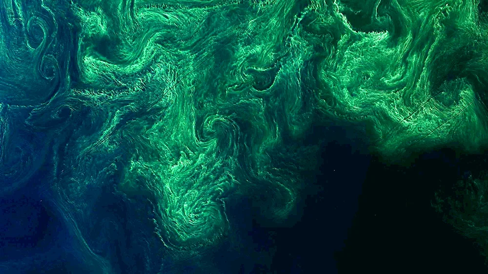 Malachite marble