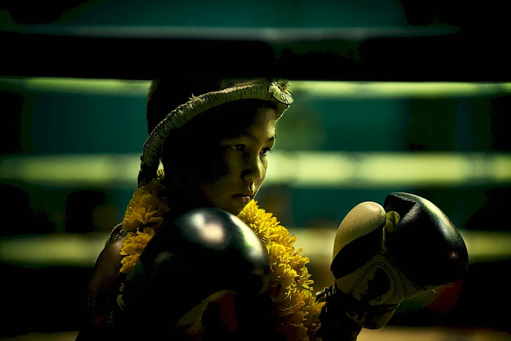 Boxing gloves in the ring