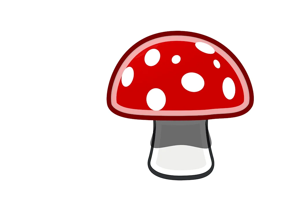 Mushroom drawing with pencil