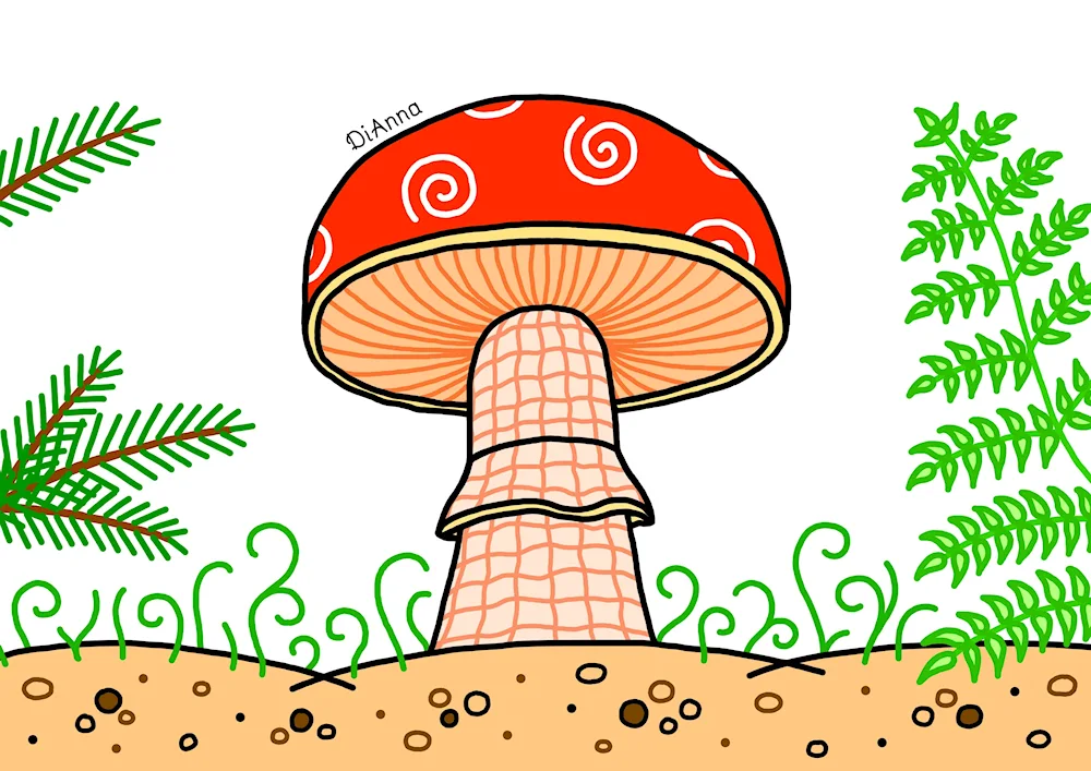 Mushroom colouring