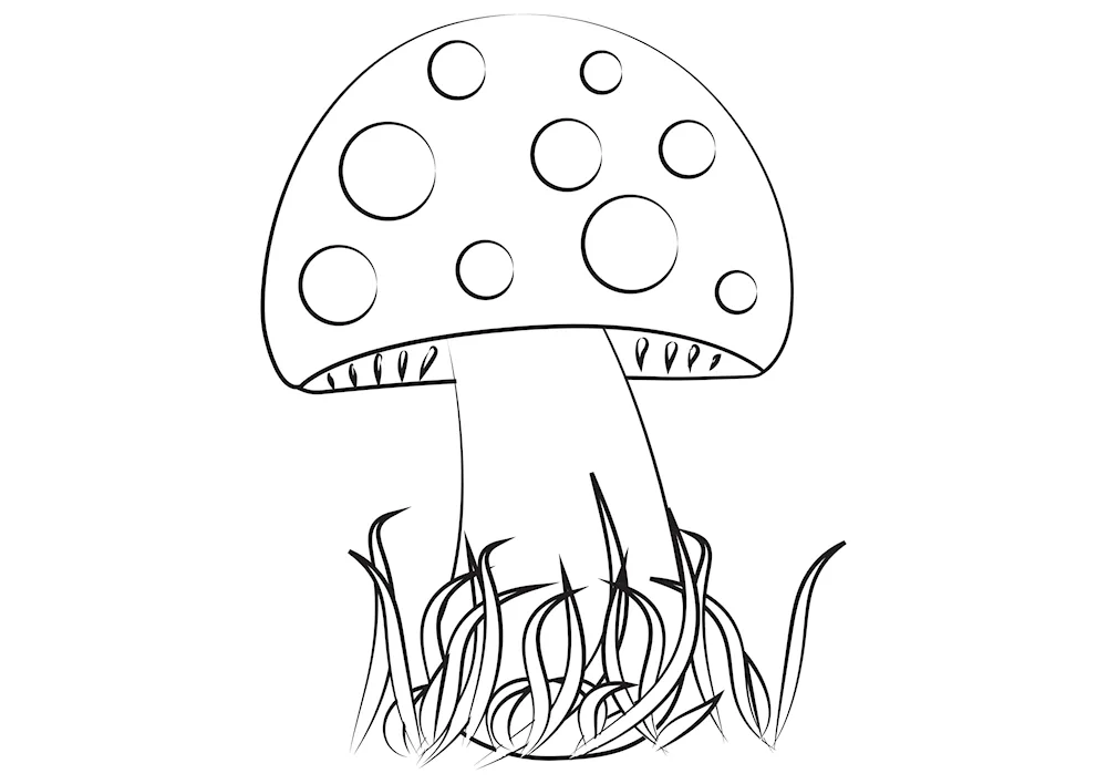Fly mushroom colouring