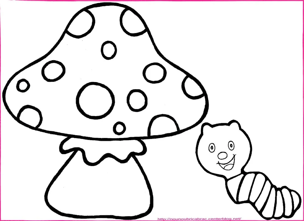 Mushroom indie KID