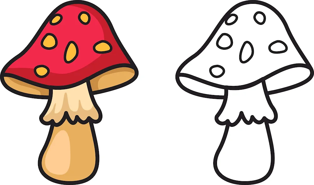 Painting mushrooms white fly mushroom