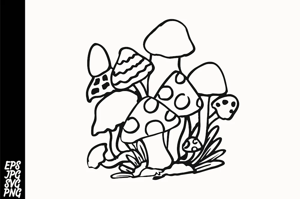 Mushroom colouring