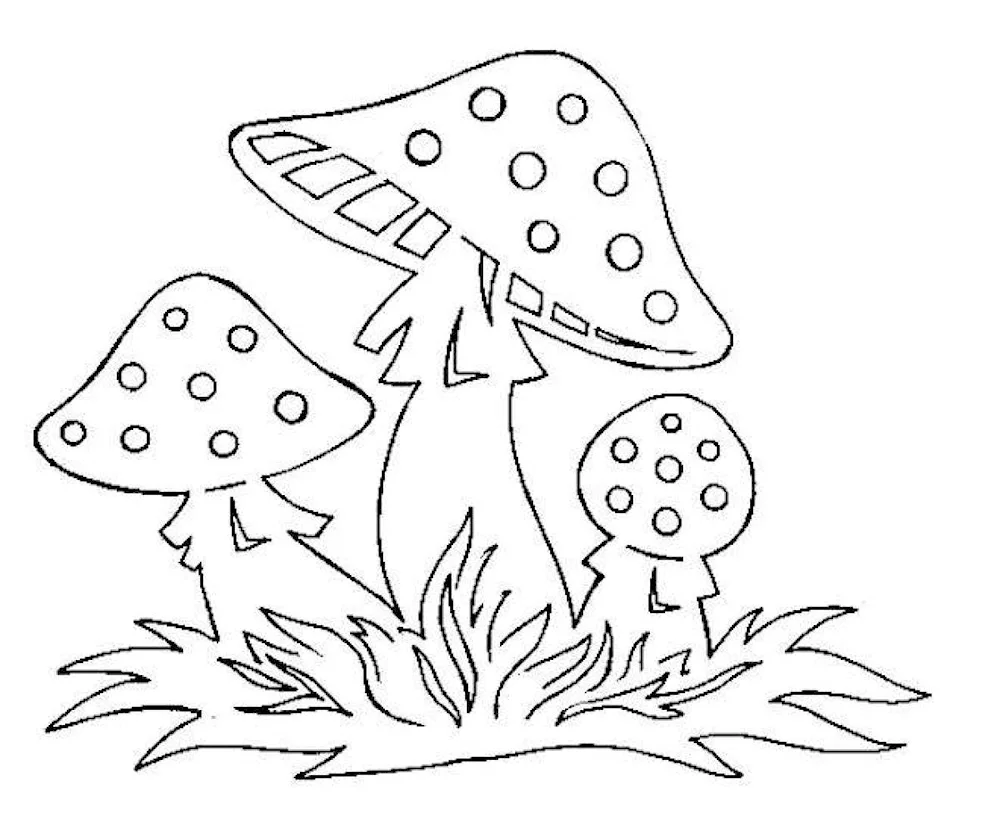 Amanita muscaria psychedelica