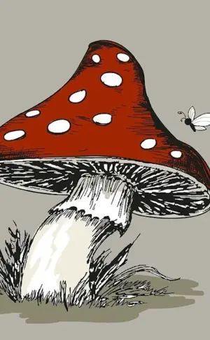 Fly mushroom drawing