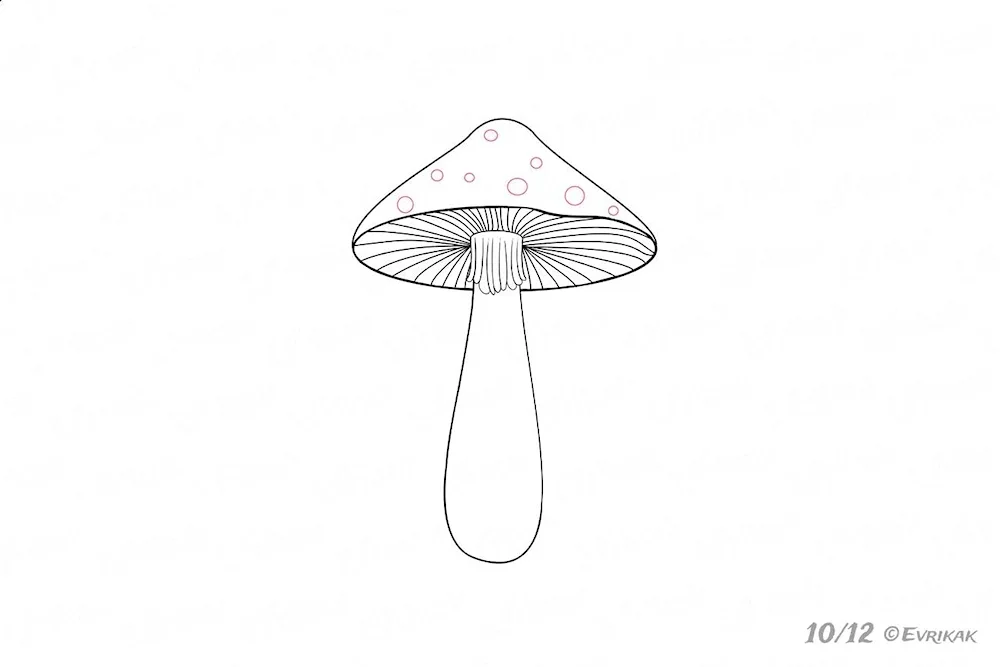 Mushrooms indie KID