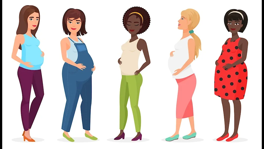 Pregnancy vector